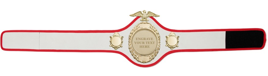 CHAMPIONSHIP BELT-PRO288/G/ENGRAVE - 10 COLOURS